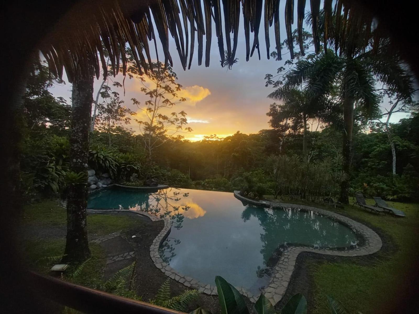 Sarapiquis Rainforest Lodge Zewnętrze zdjęcie