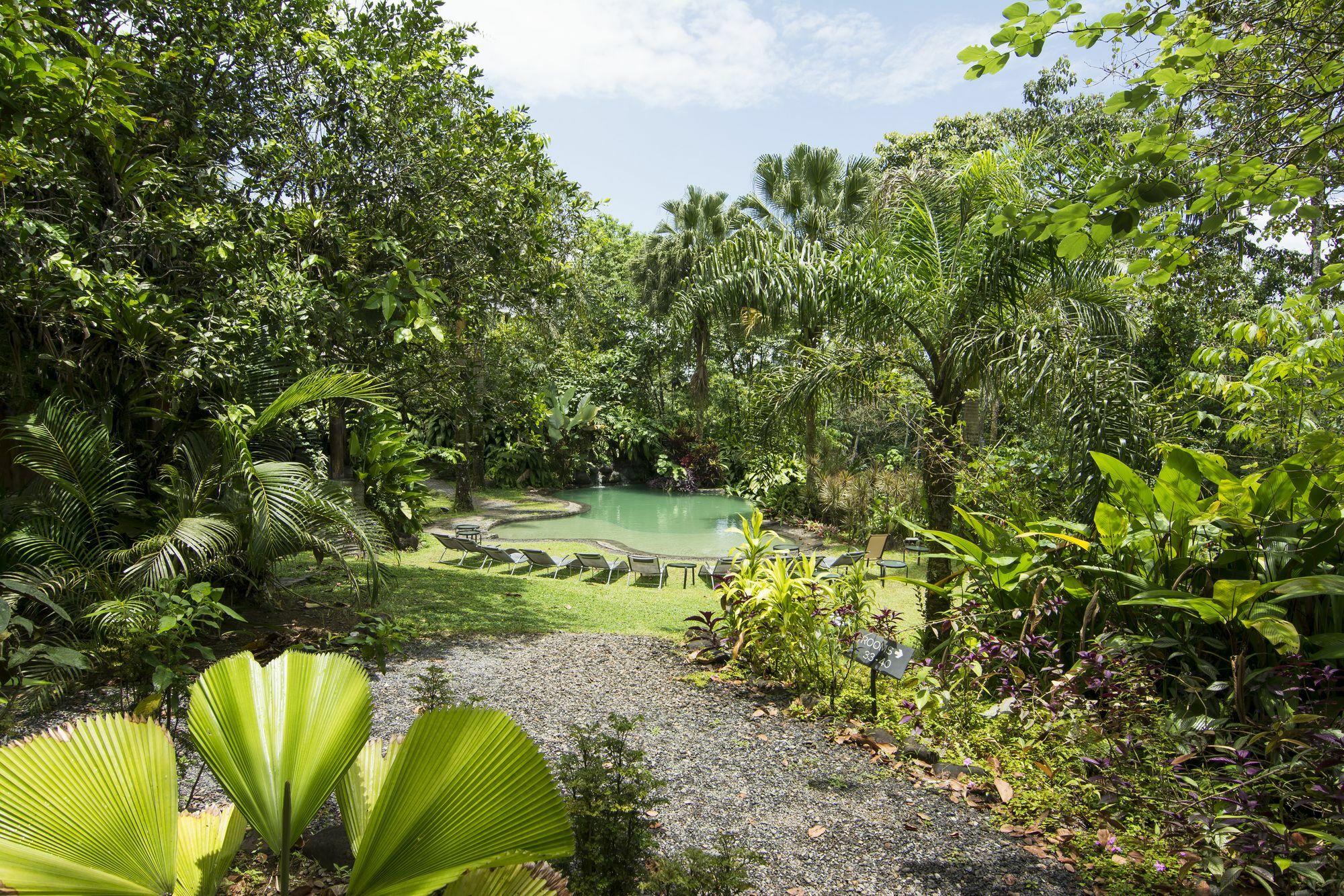 Sarapiquis Rainforest Lodge Zewnętrze zdjęcie