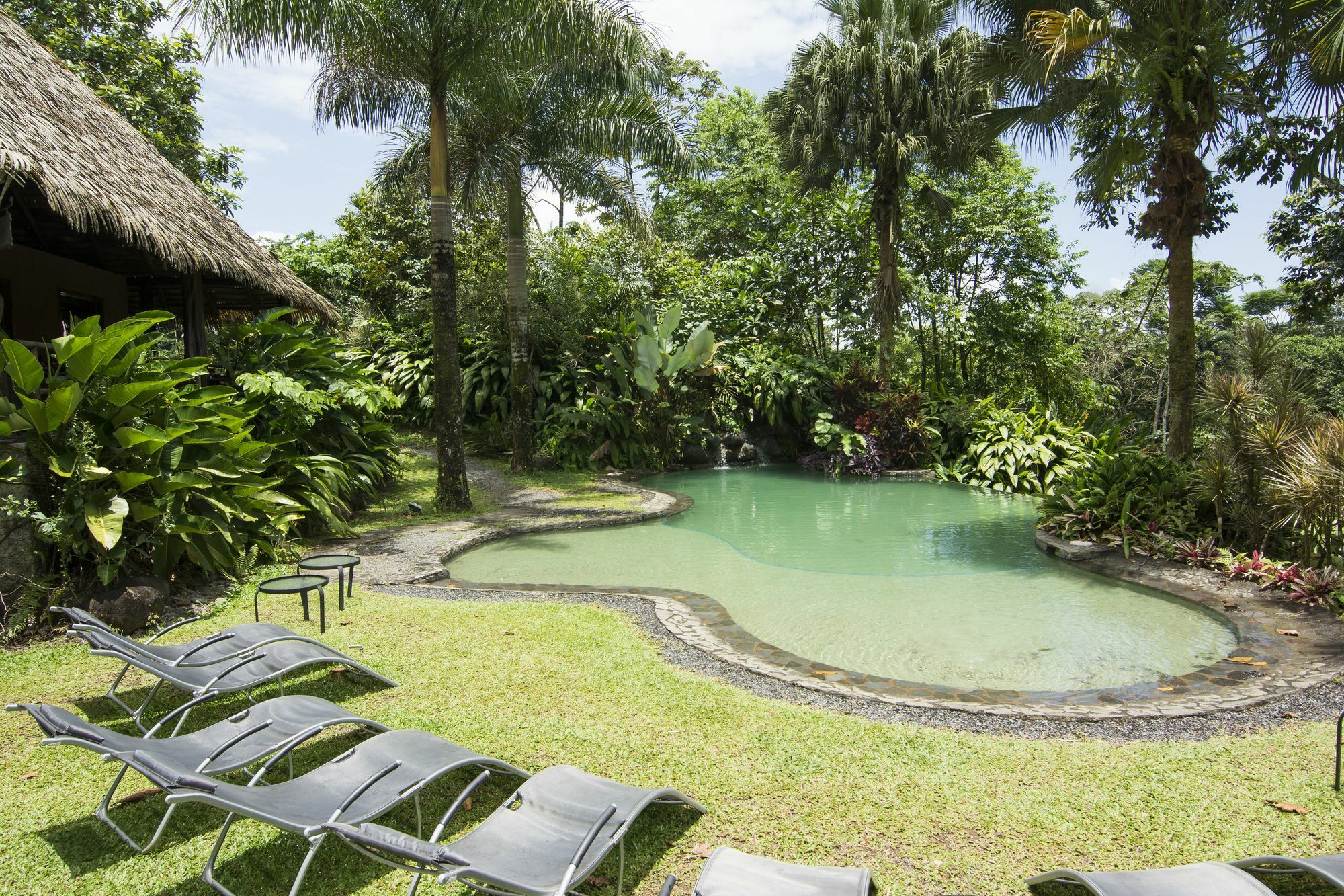 Sarapiquis Rainforest Lodge Zewnętrze zdjęcie